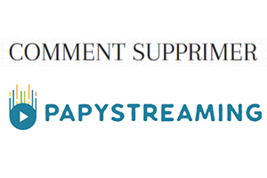 papystreaming est indisponible : le site est il définitivement fermé ?
