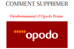 Se désinscrire d'Opodo Prime