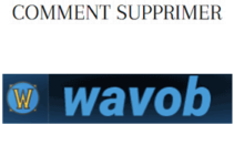 La nouvelle adresse valide de Wavob