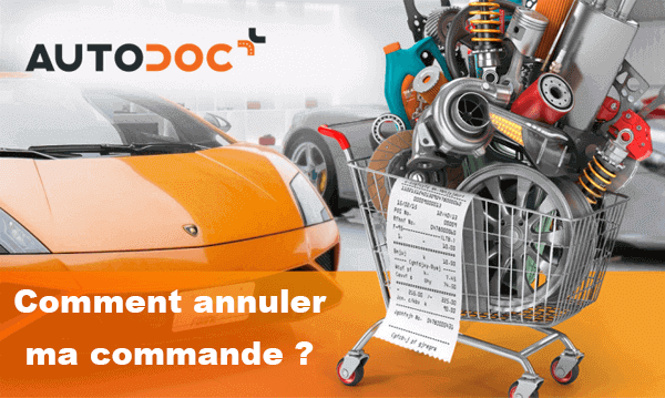 Comment annuler une commande Autodoc ?