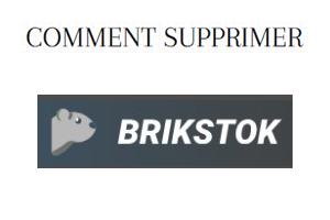 Brikstok ne fonctionne plus, quel est son nouveau nom en 2023 ?
